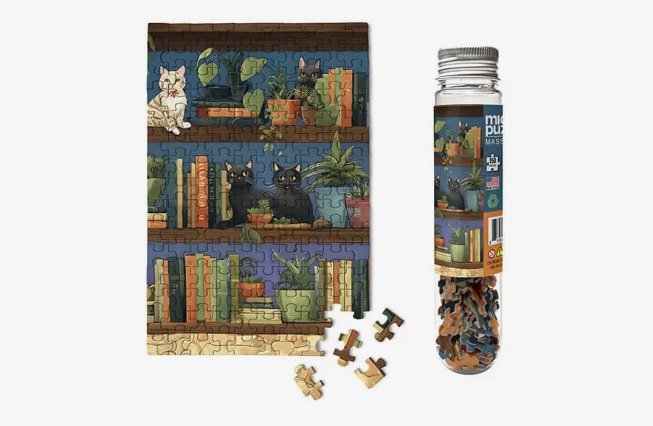 Books and Cats Micro Puzzle